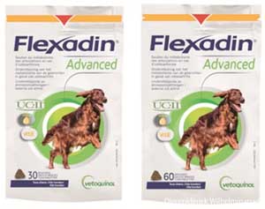 Flexadin advanced voor artrose bij de hond, Dierenkliniek Wilhelminapark Utrecht